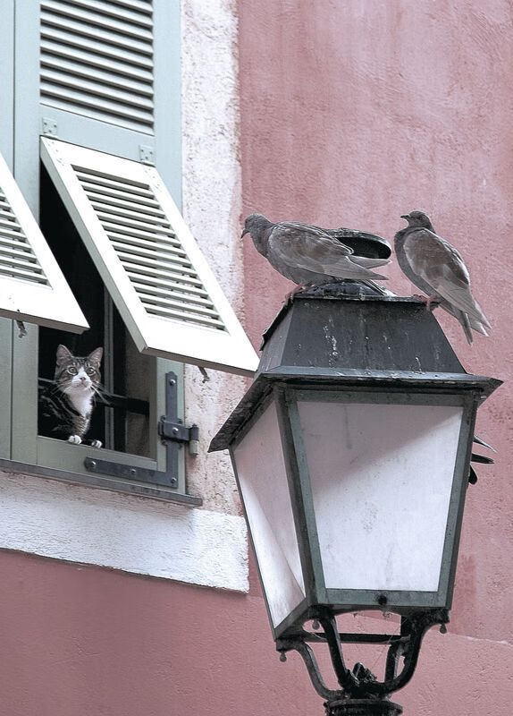 从深渊到巅峰,格列兹曼的救赎之夜与多特蒙德的跨洲横扫