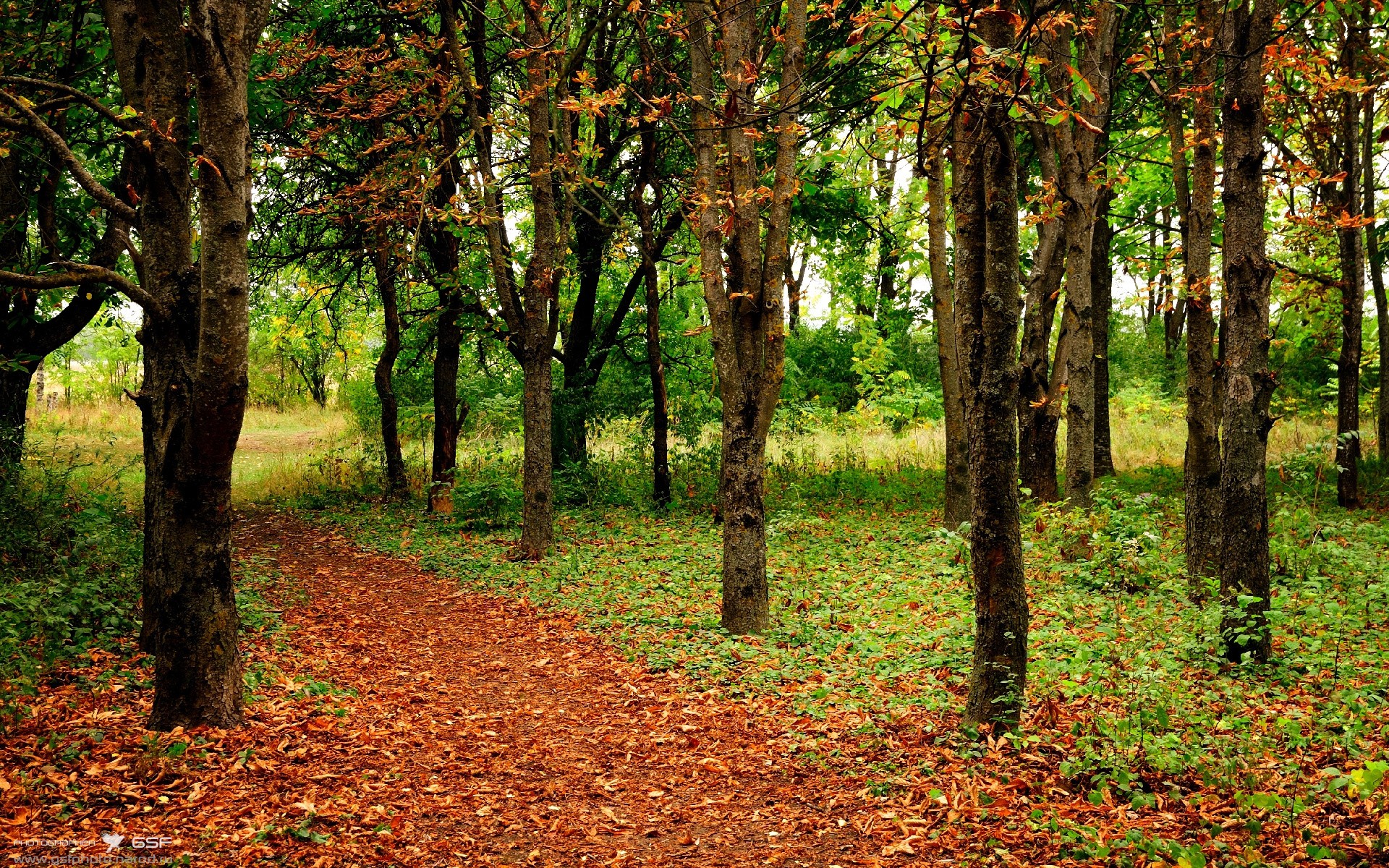 欧冠淘汰赛焦点战,骑士火力压制老鹰