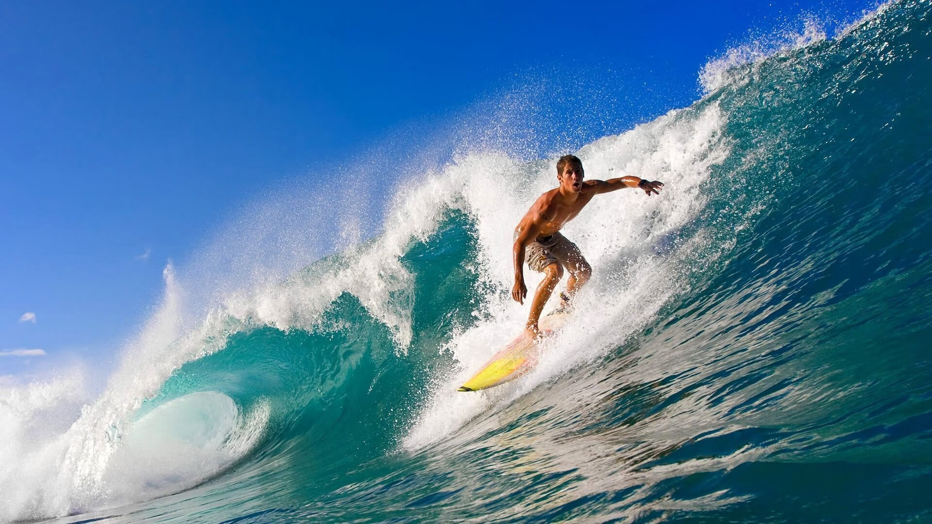 德甲争冠战焦点战,辽宁队轻取步行者—跨界竞技背后的精神共鸣